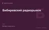 Редакционная обложка магазина «Бибиревский радиорынок»