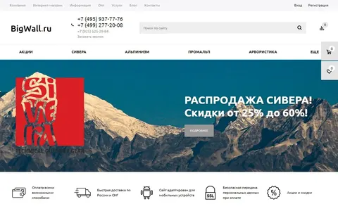 Снимок сайта Bigwall