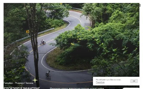 Снимок сайта Velody