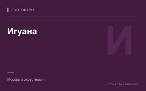 Редакционная обложка магазина «Игуана»