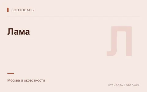 Редакционная обложка магазина «Лама»