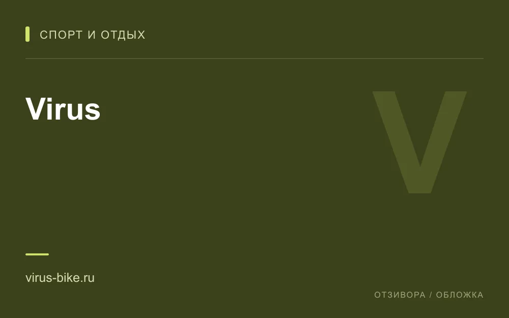 Редакционная обложка магазина «Virus»