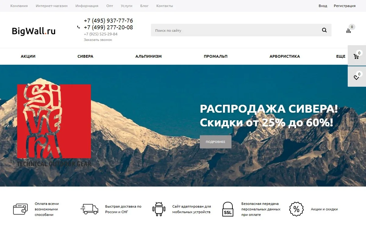 Снимок сайта Bigwall