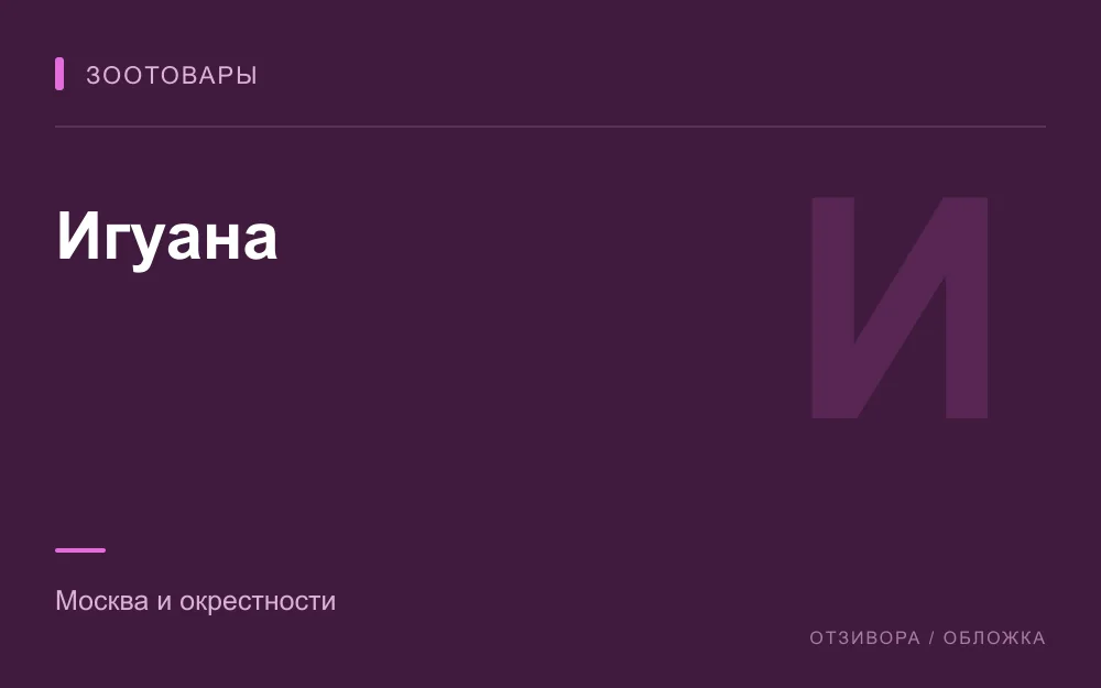 Редакционная обложка магазина «Игуана»