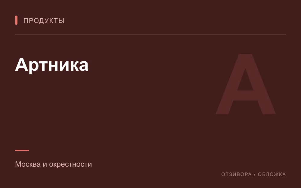 Редакционная обложка магазина «Артника»