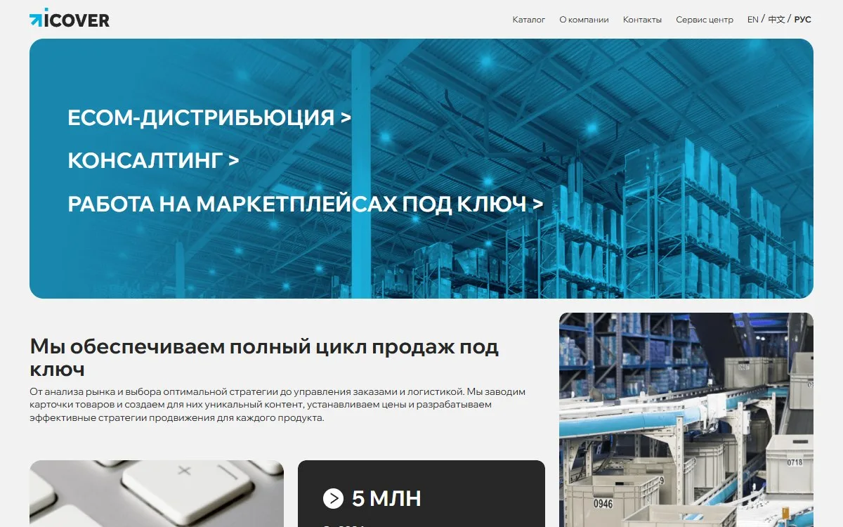 Снимок сайта iCover